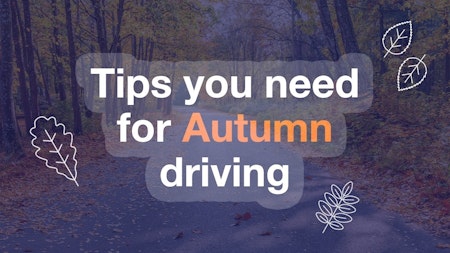 Tips you need for Autumn driving